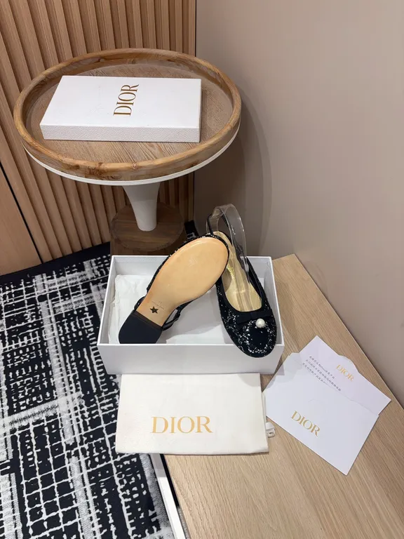 Dior Shoe 